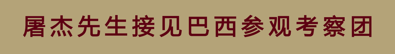 屠杰先生接见巴西参观考察团